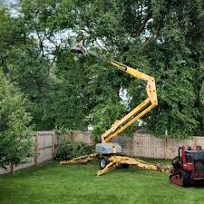 Best Sod Installation  in Coral Hills, MD